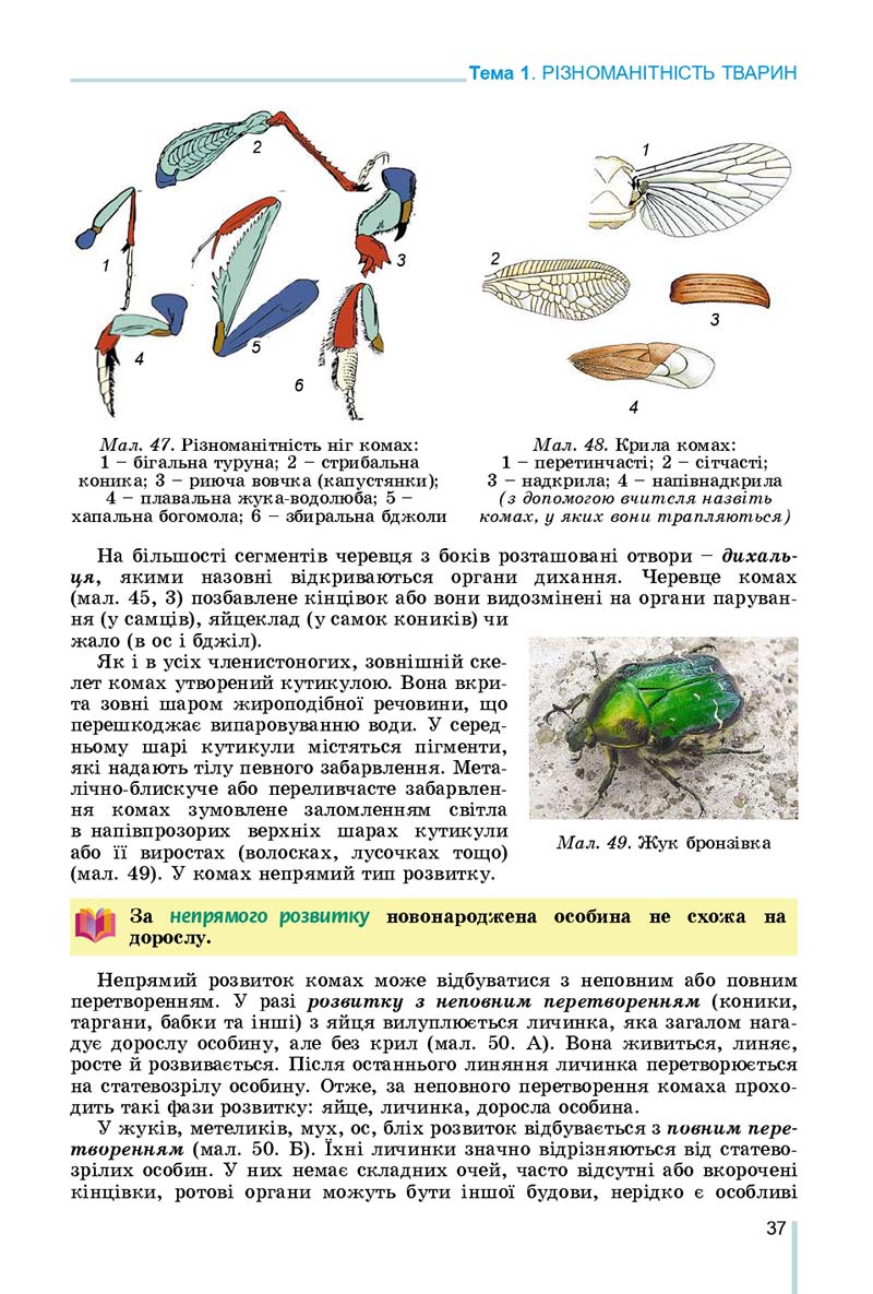 Сторінка 37 - Підручник Біологія 7 клас Остапченко 2020 - скачати