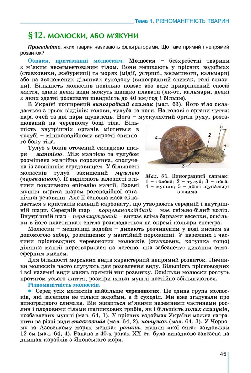 Сторінка 45 - Підручник Біологія 7 клас Остапченко 2020 - скачати