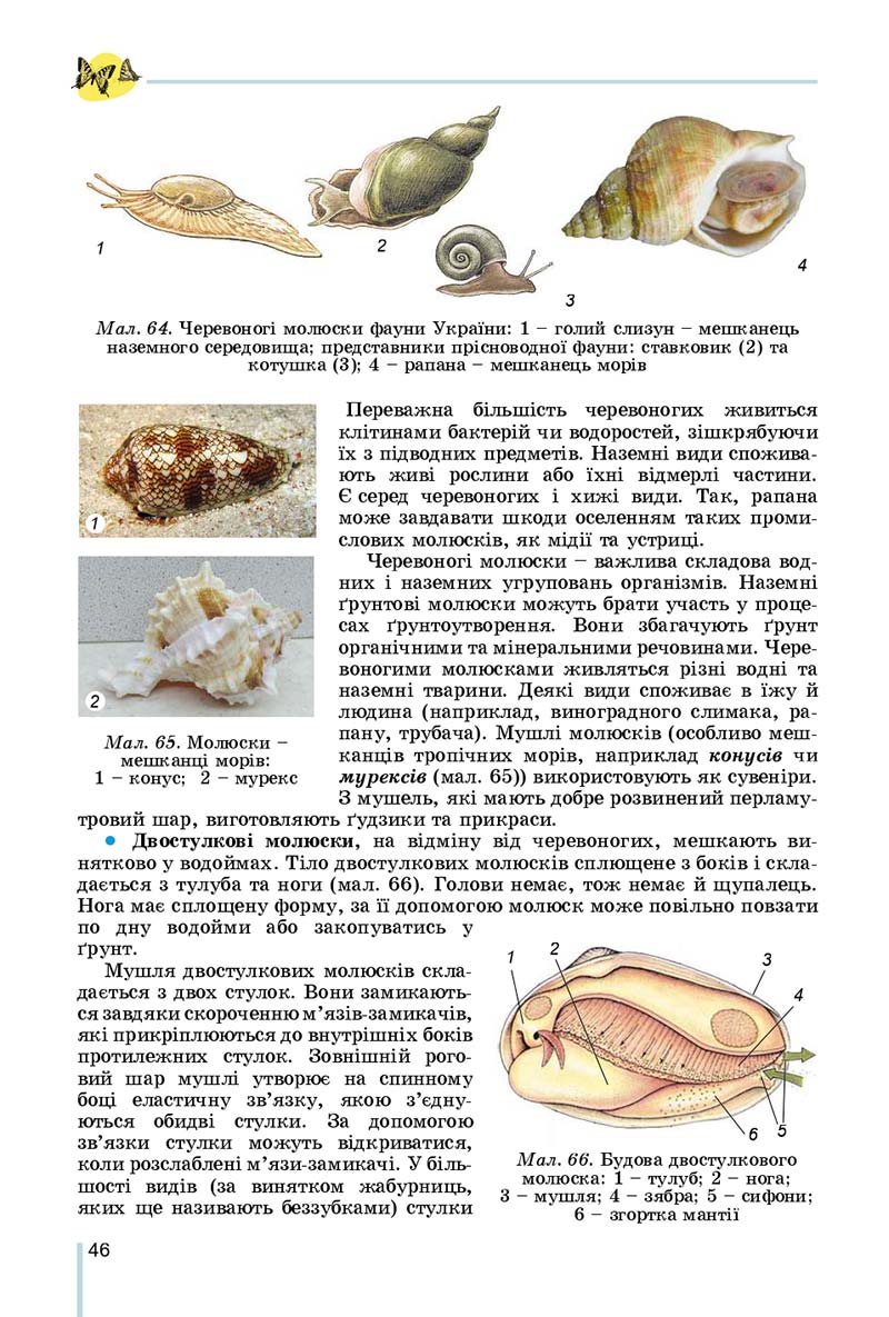 Сторінка 46 - Підручник Біологія 7 клас Остапченко 2020 - скачати