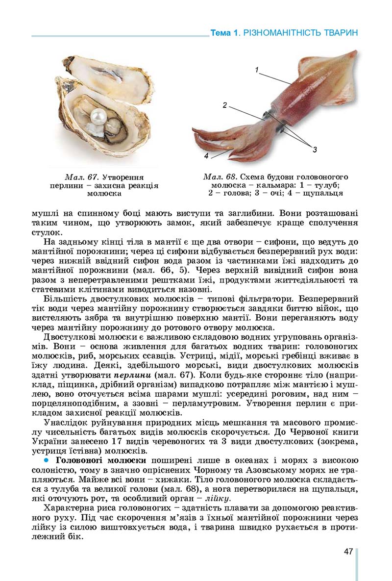 Сторінка 47 - Підручник Біологія 7 клас Остапченко 2020 - скачати