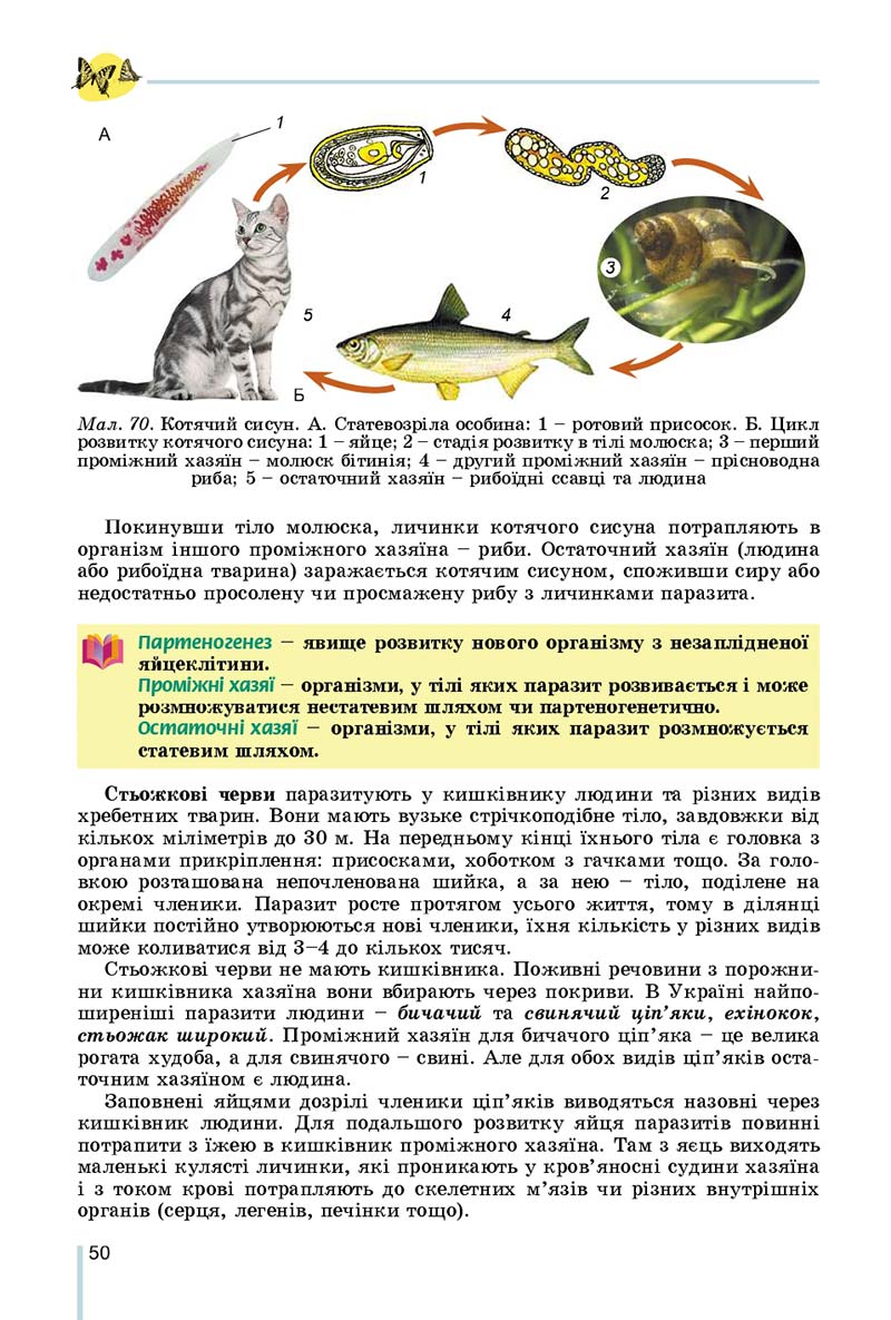 Сторінка 50 - Підручник Біологія 7 клас Остапченко 2020 - скачати