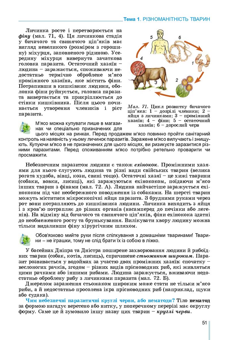 Сторінка 51 - Підручник Біологія 7 клас Остапченко 2020 - скачати