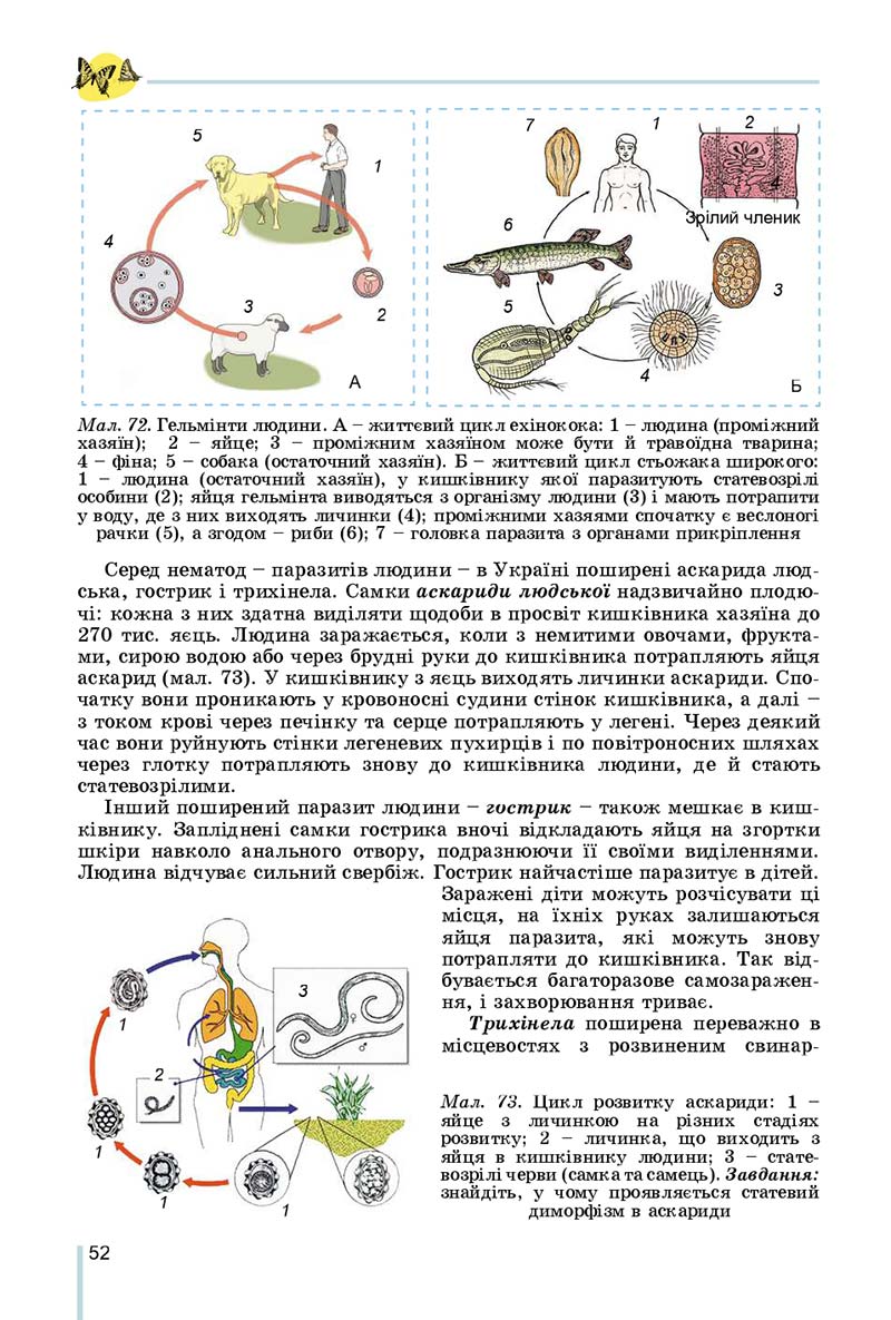 Сторінка 52 - Підручник Біологія 7 клас Остапченко 2020 - скачати