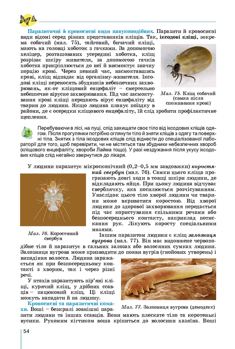 Сторінка 54 - Підручник Біологія 7 клас Остапченко 2020 - скачати