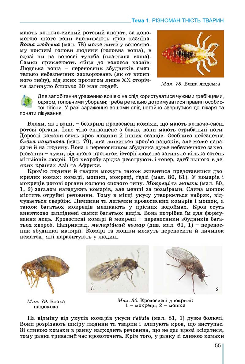 Сторінка 55 - Підручник Біологія 7 клас Остапченко 2020 - скачати