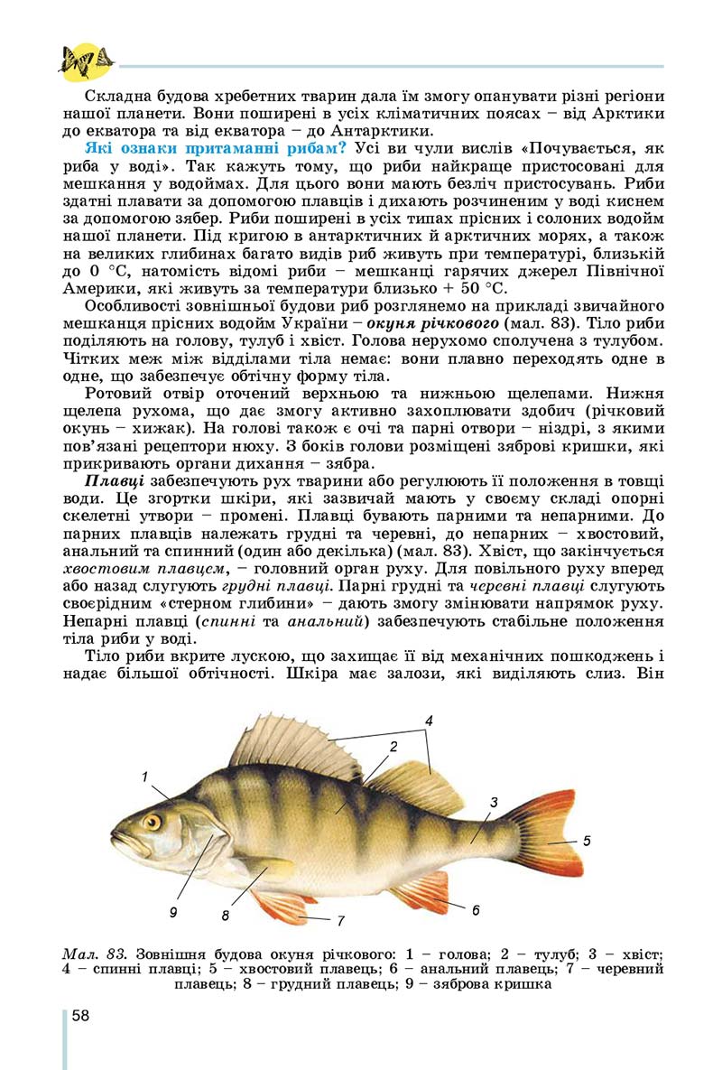 Сторінка 58 - Підручник Біологія 7 клас Остапченко 2020 - скачати