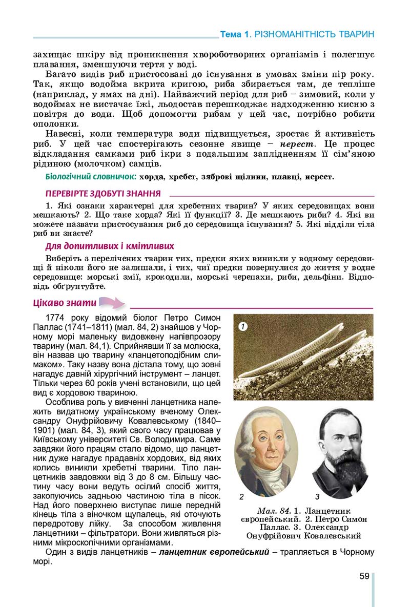 Сторінка 59 - Підручник Біологія 7 клас Остапченко 2020 - скачати