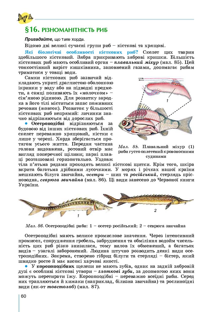 Сторінка 60 - Підручник Біологія 7 клас Остапченко 2020 - скачати