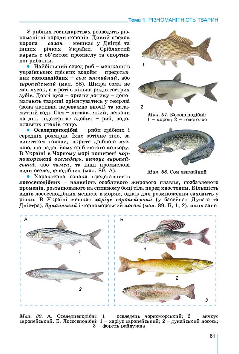 Сторінка 61 - Підручник Біологія 7 клас Остапченко 2020 - скачати