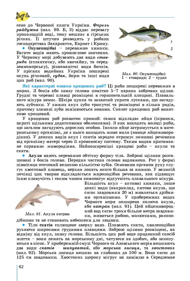 Сторінка 62 - Підручник Біологія 7 клас Остапченко 2020 - скачати