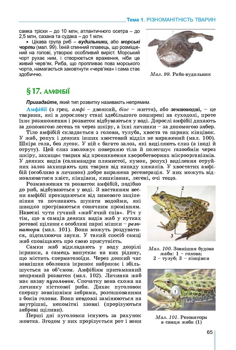 Сторінка 65 - Підручник Біологія 7 клас Остапченко 2020 - скачати