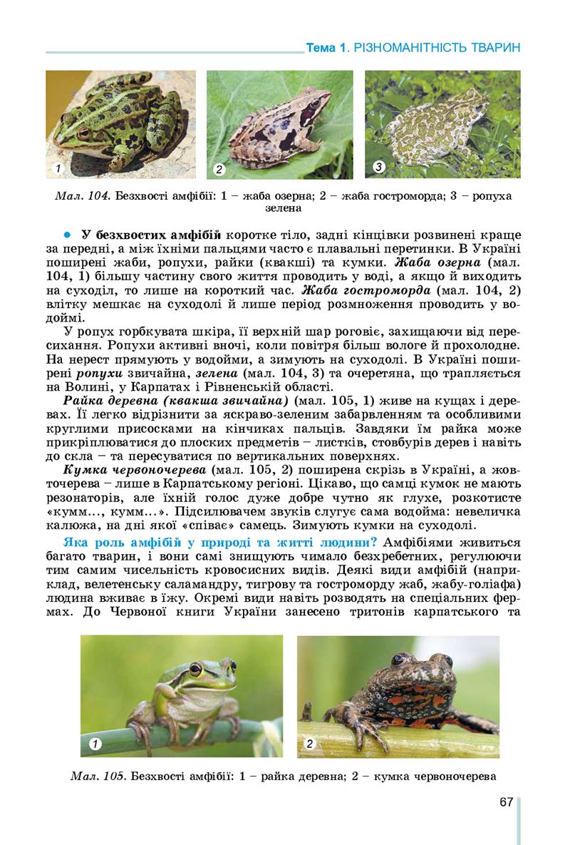 Сторінка 67 - Підручник Біологія 7 клас Остапченко 2020 - скачати