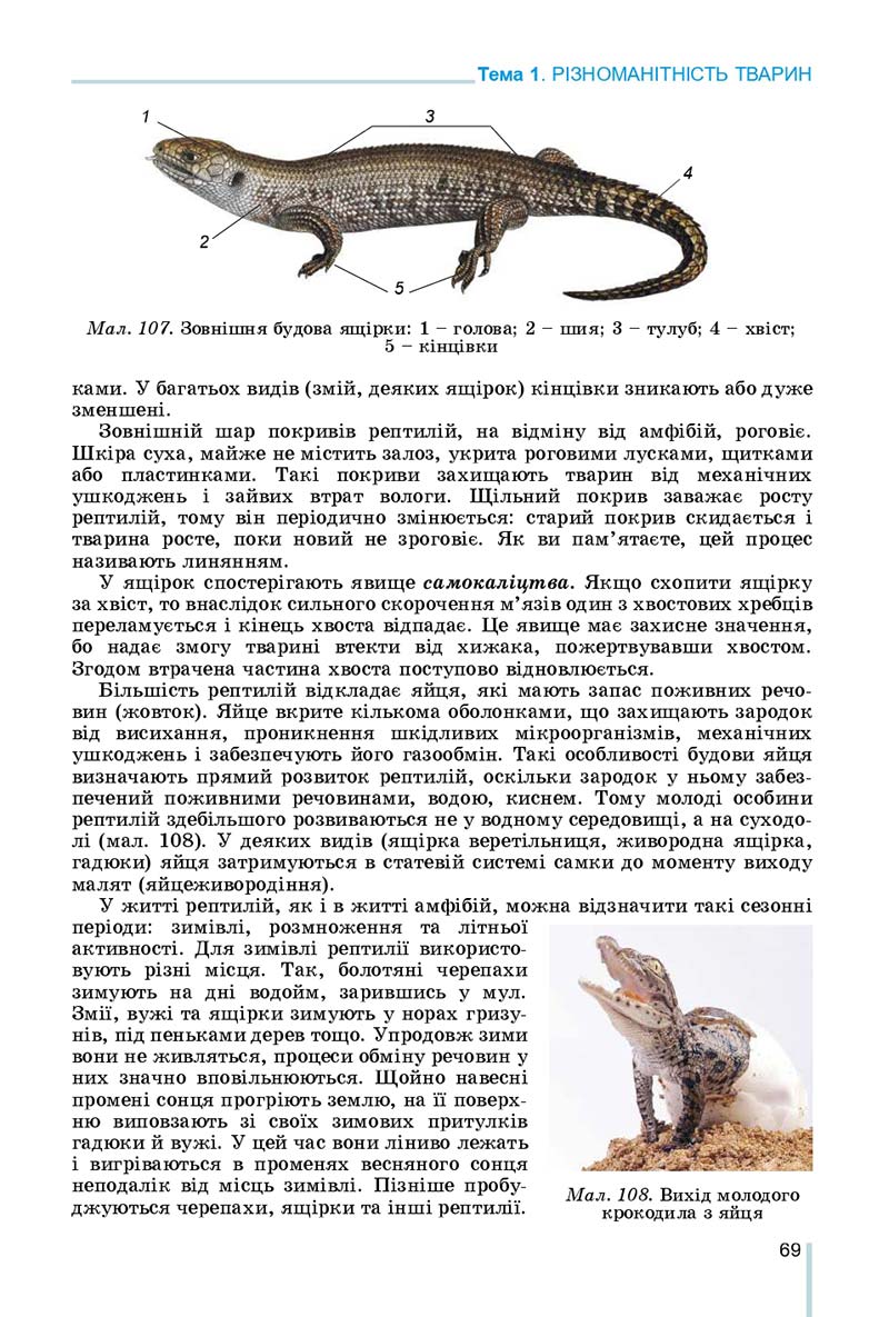 Сторінка 69 - Підручник Біологія 7 клас Остапченко 2020 - скачати