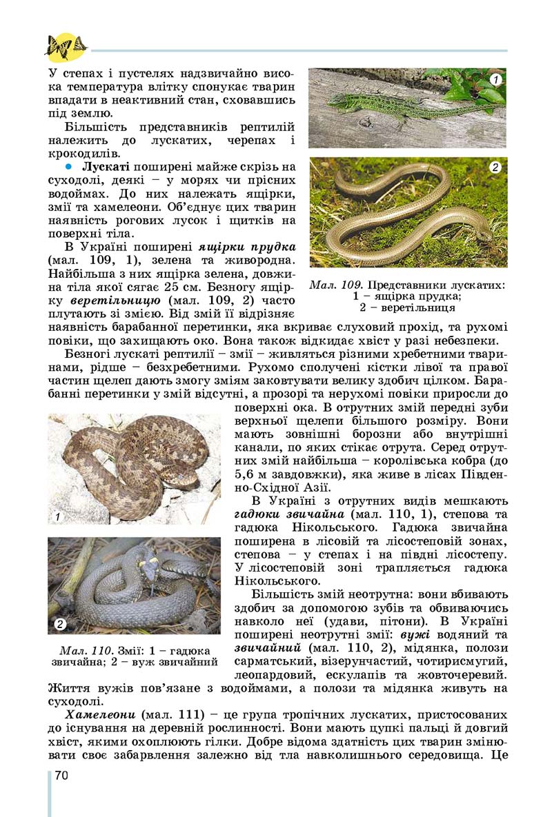 Сторінка 70 - Підручник Біологія 7 клас Остапченко 2020 - скачати