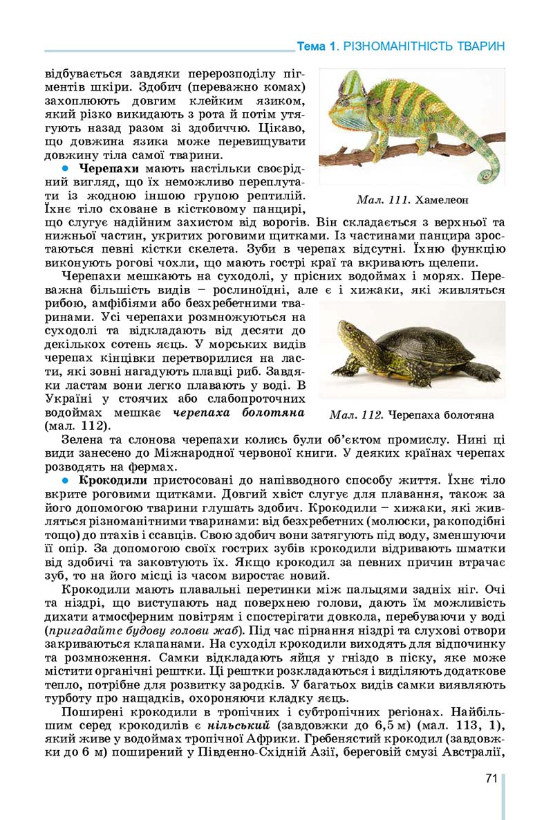 Сторінка 71 - Підручник Біологія 7 клас Остапченко 2020 - скачати