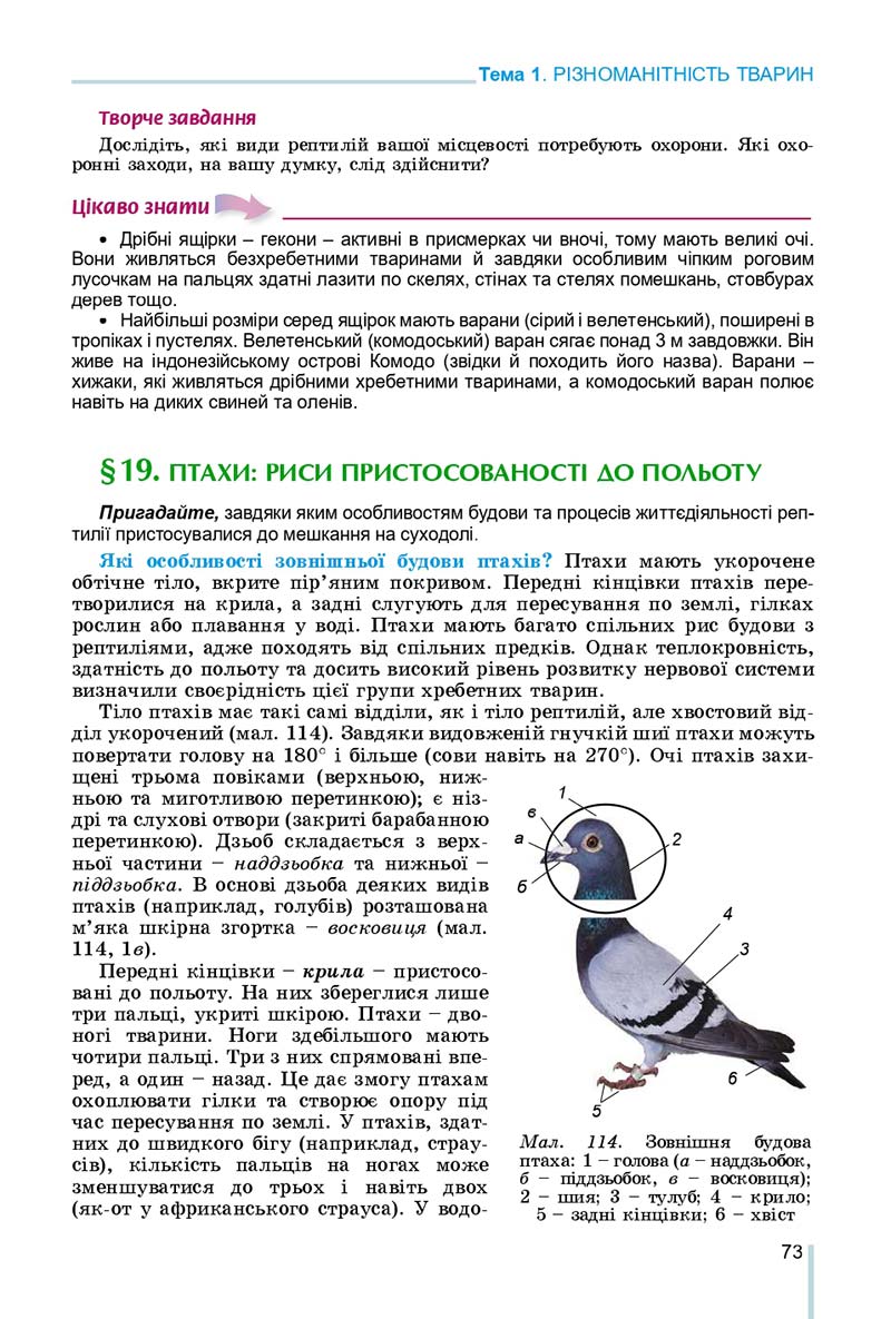 Сторінка 73 - Підручник Біологія 7 клас Остапченко 2020 - скачати