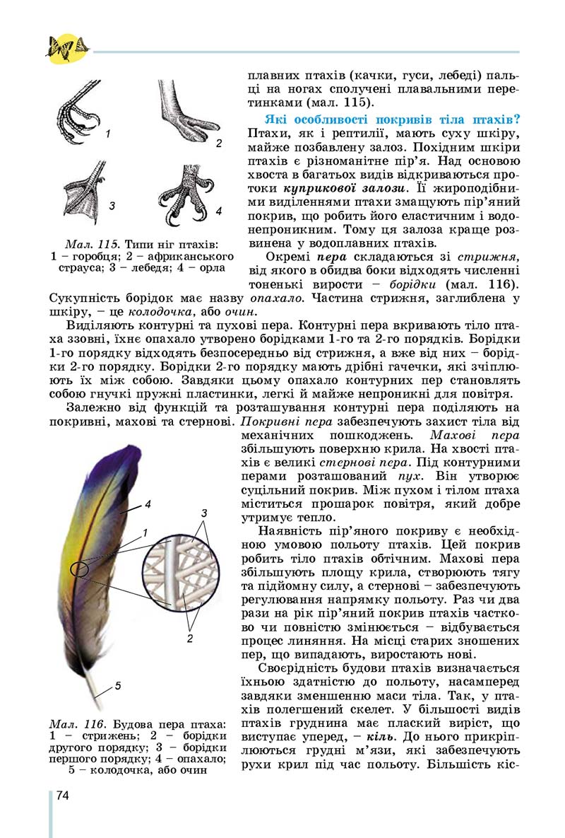 Сторінка 74 - Підручник Біологія 7 клас Остапченко 2020 - скачати