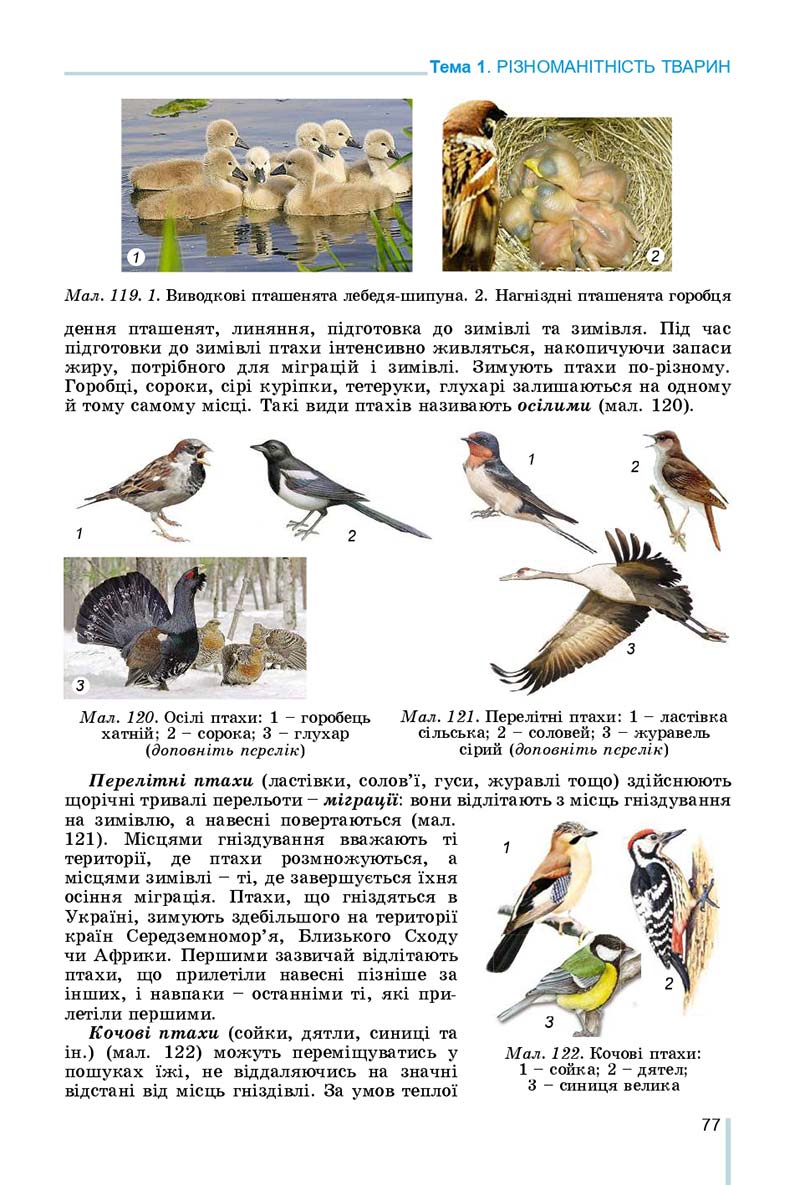 Сторінка 77 - Підручник Біологія 7 клас Остапченко 2020 - скачати
