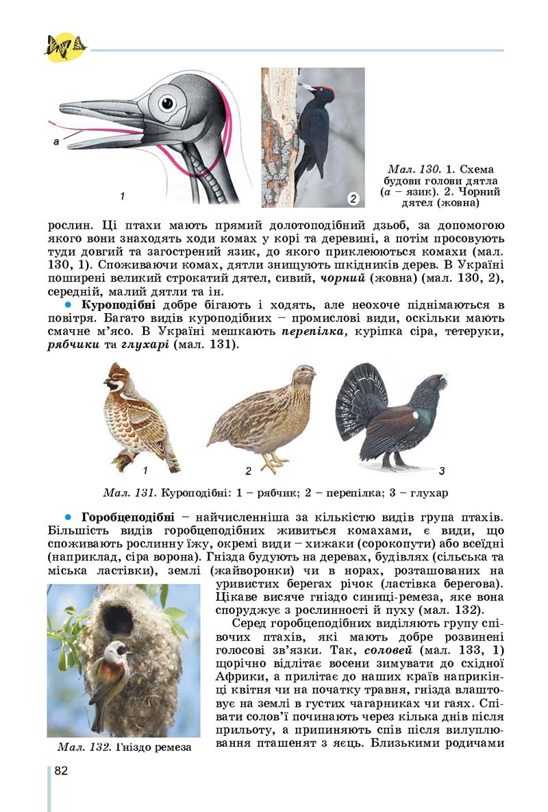Сторінка 82 - Підручник Біологія 7 клас Остапченко 2020 - скачати
