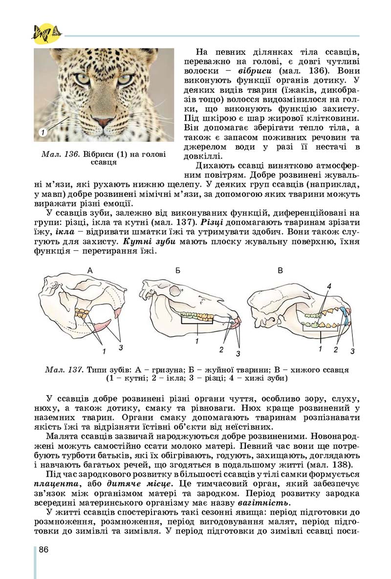 Сторінка 86 - Підручник Біологія 7 клас Остапченко 2020 - скачати
