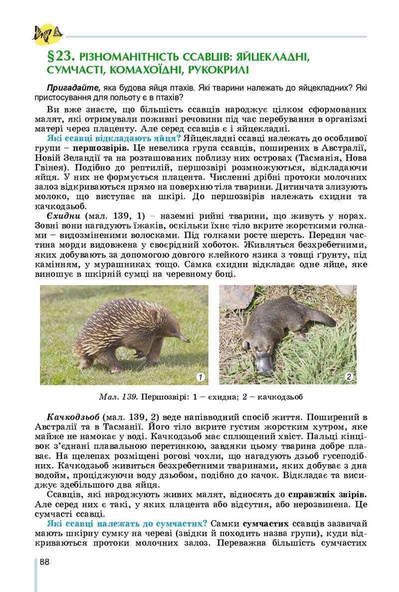 Сторінка 88 - Підручник Біологія 7 клас Остапченко 2020 - скачати