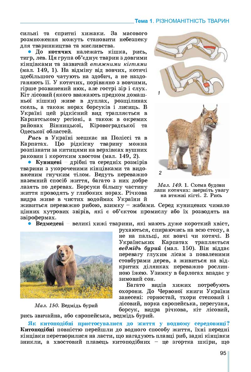 Сторінка 95 - Підручник Біологія 7 клас Остапченко 2020 - скачати