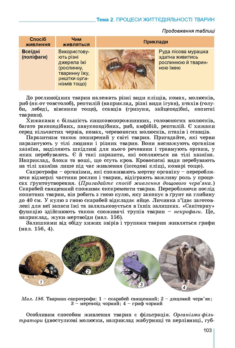 Сторінка 103 - Підручник Біологія 7 клас Остапченко 2020 - скачати