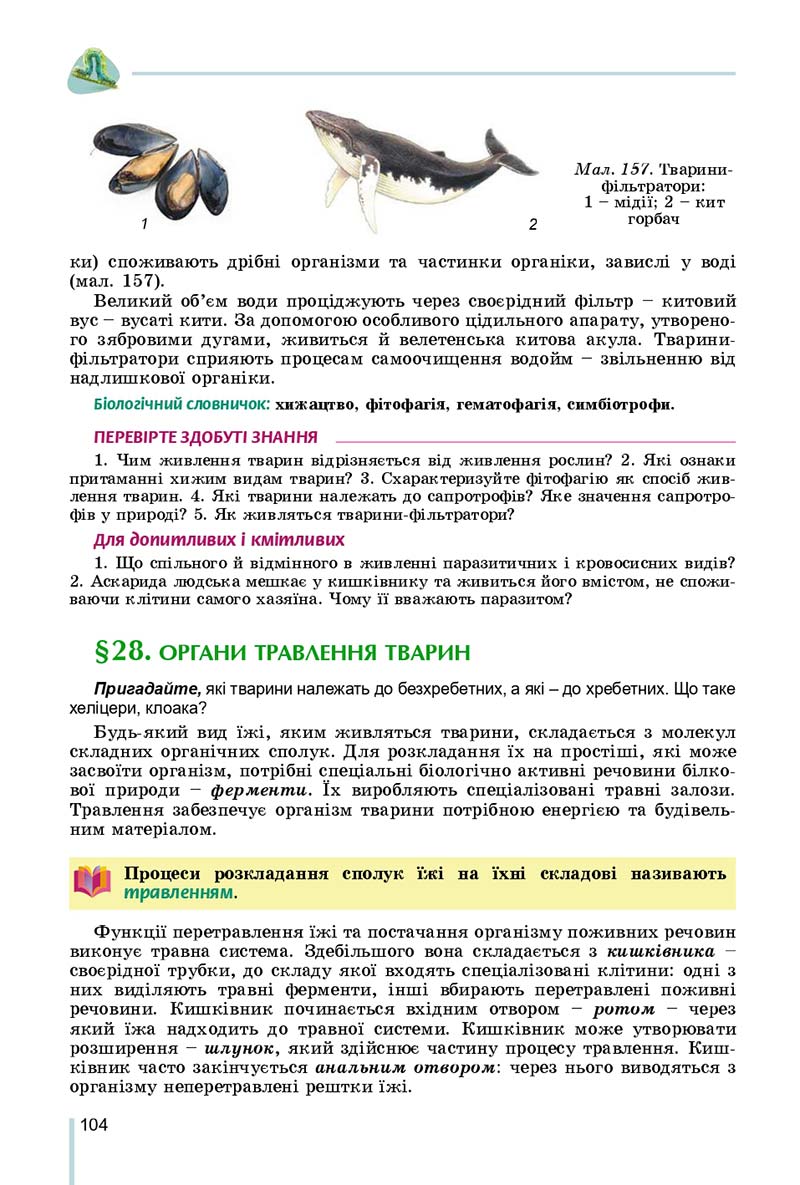 Сторінка 104 - Підручник Біологія 7 клас Остапченко 2020 - скачати