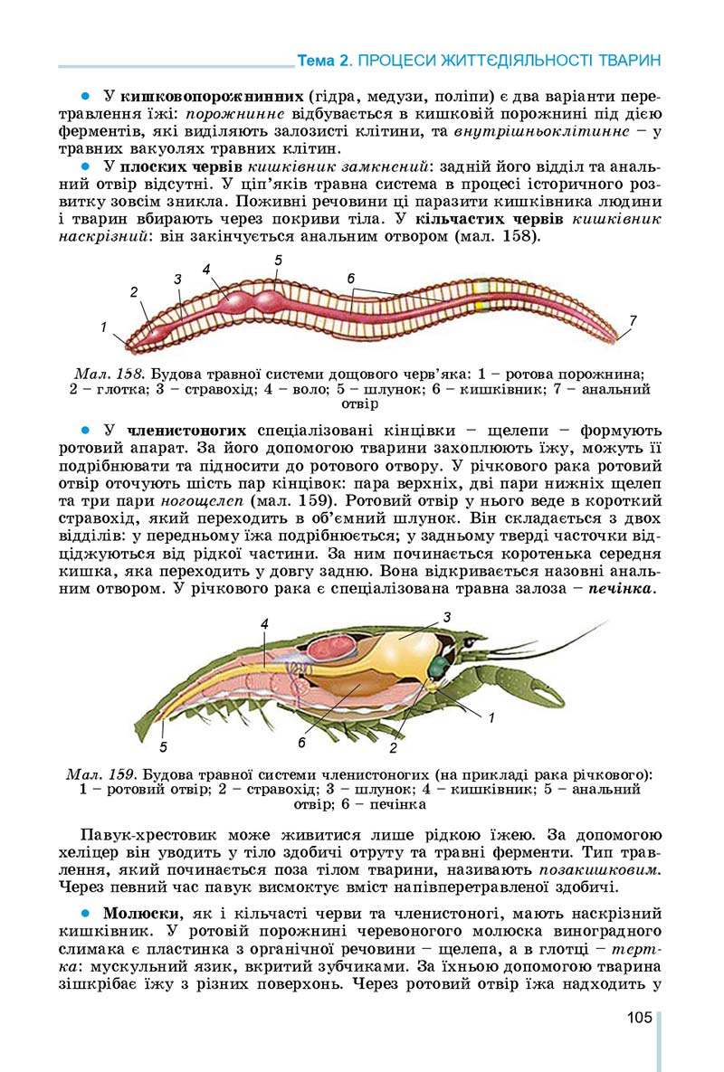 Сторінка 105 - Підручник Біологія 7 клас Остапченко 2020 - скачати