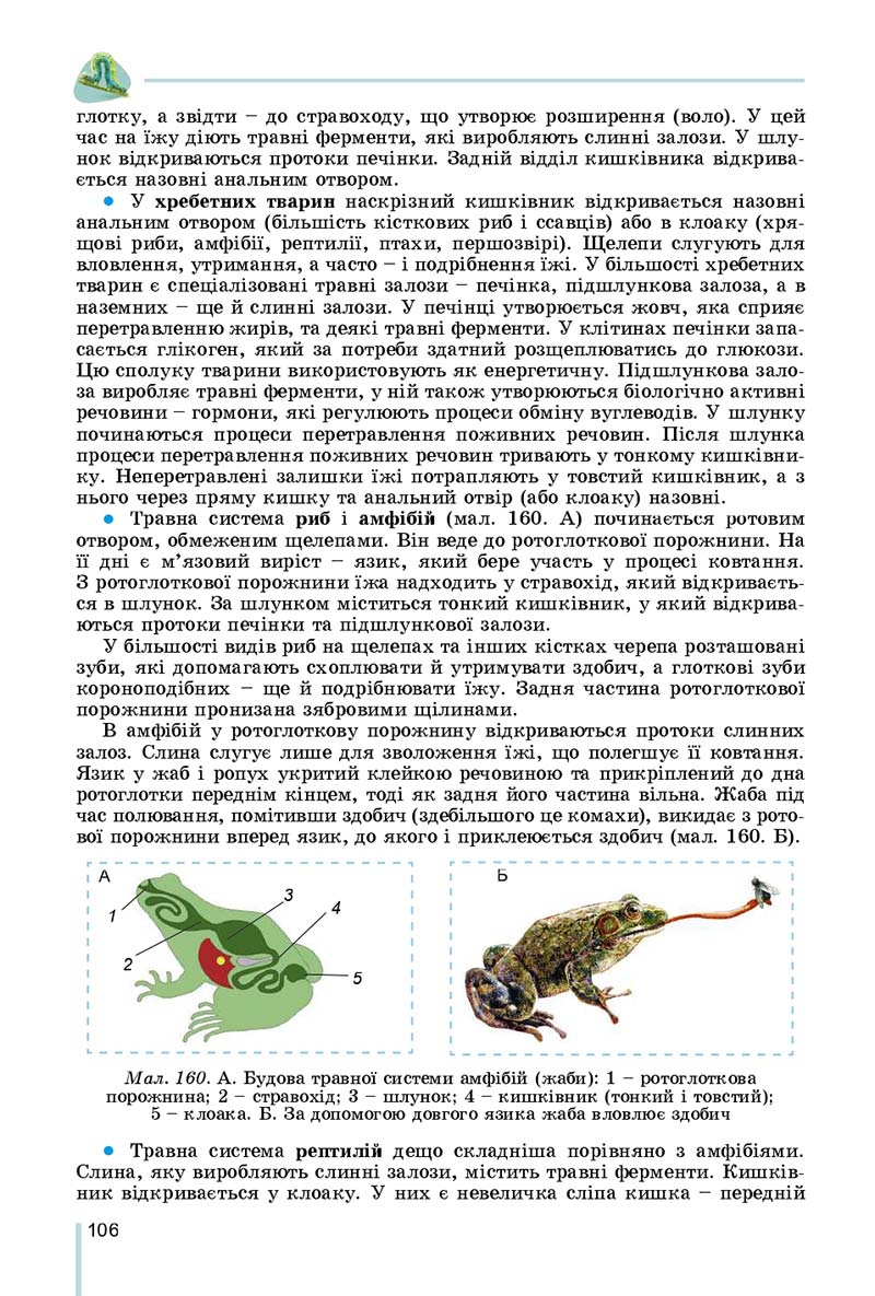 Сторінка 106 - Підручник Біологія 7 клас Остапченко 2020 - скачати