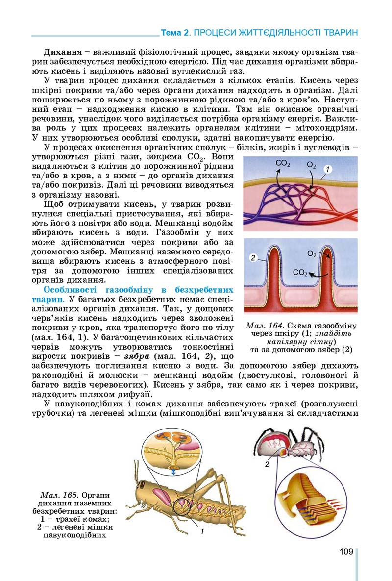 Сторінка 109 - Підручник Біологія 7 клас Остапченко 2020 - скачати