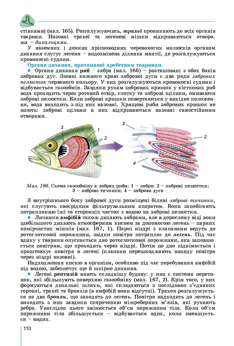 Сторінка 110 - Підручник Біологія 7 клас Остапченко 2020 - скачати