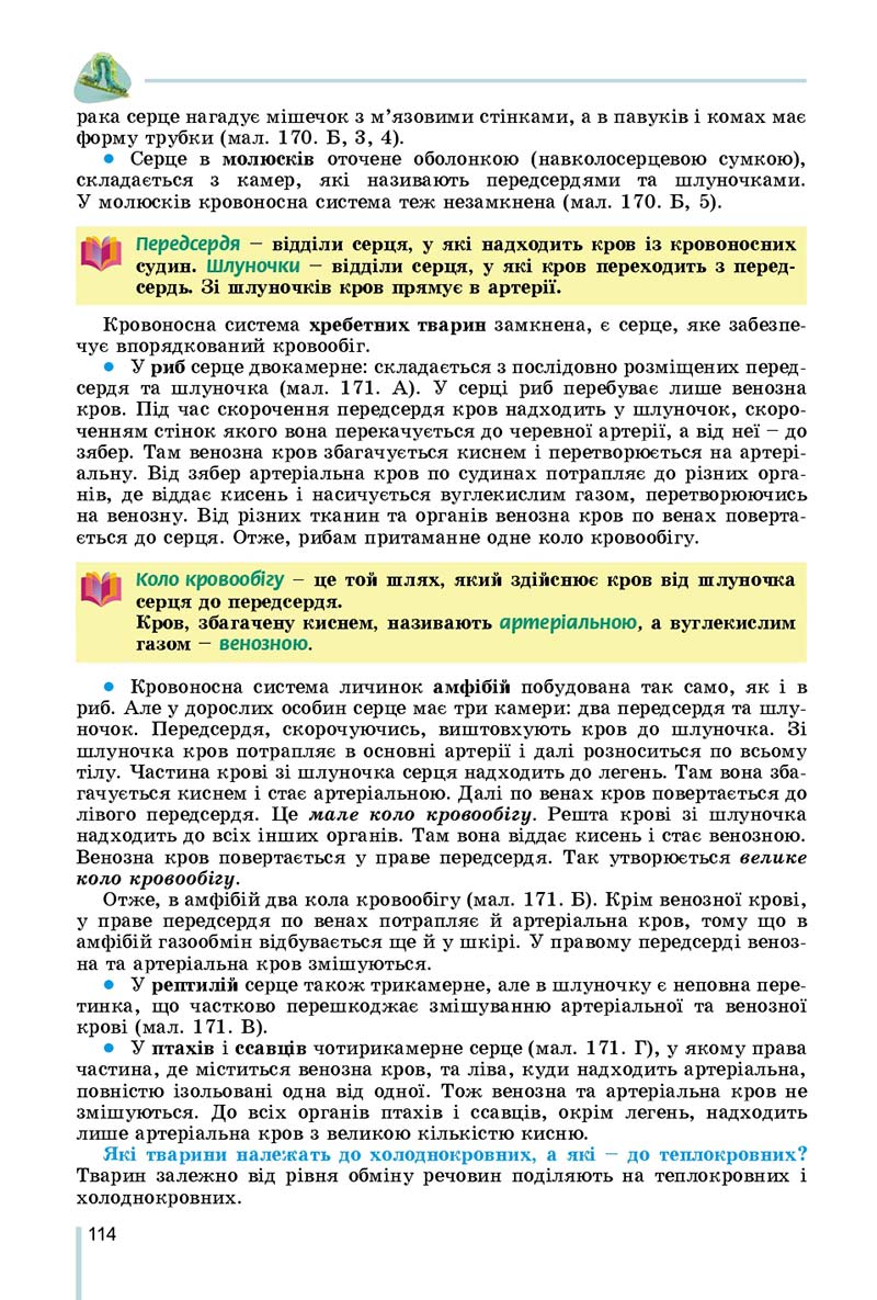 Сторінка 114 - Підручник Біологія 7 клас Остапченко 2020 - скачати