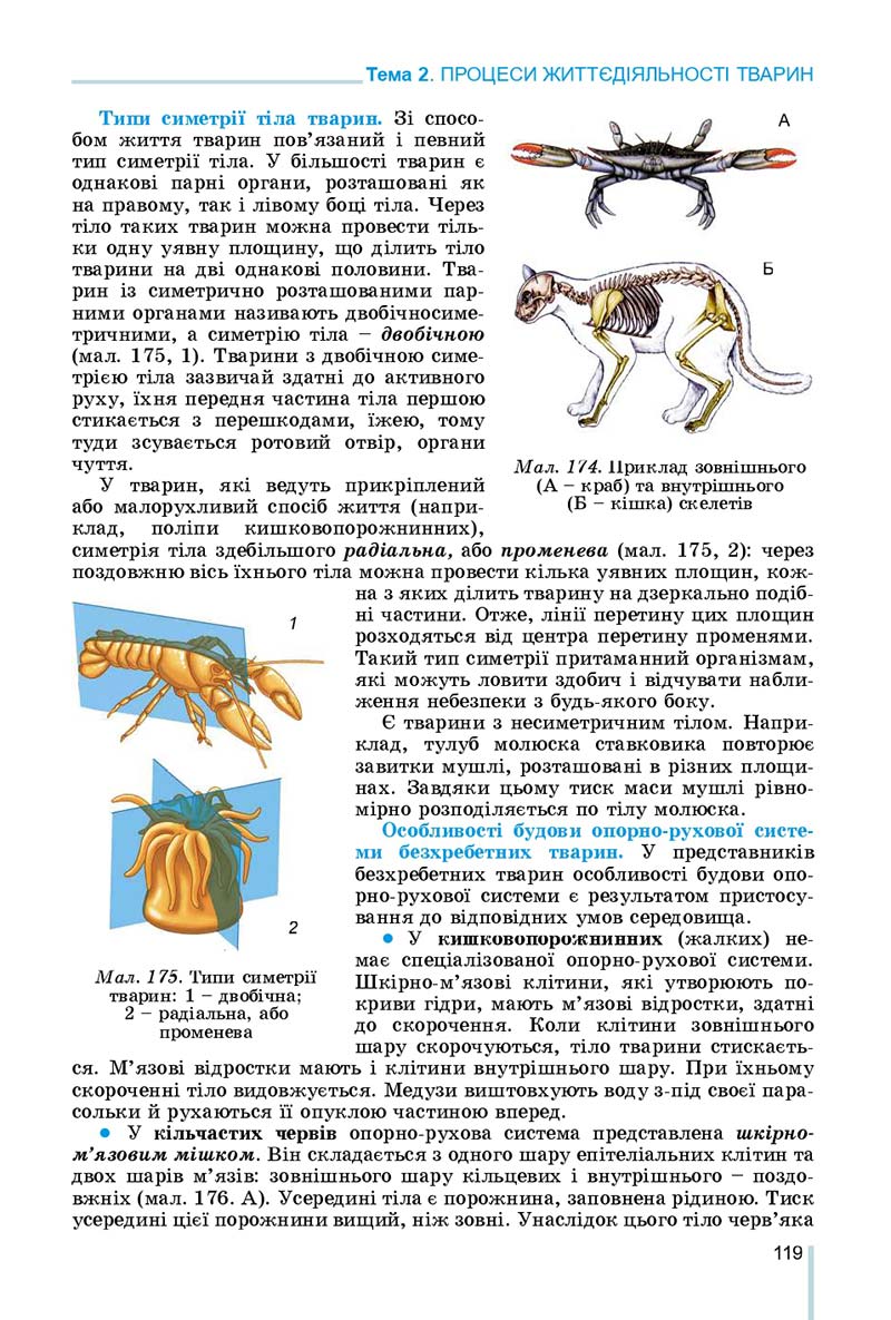 Сторінка 119 - Підручник Біологія 7 клас Остапченко 2020 - скачати