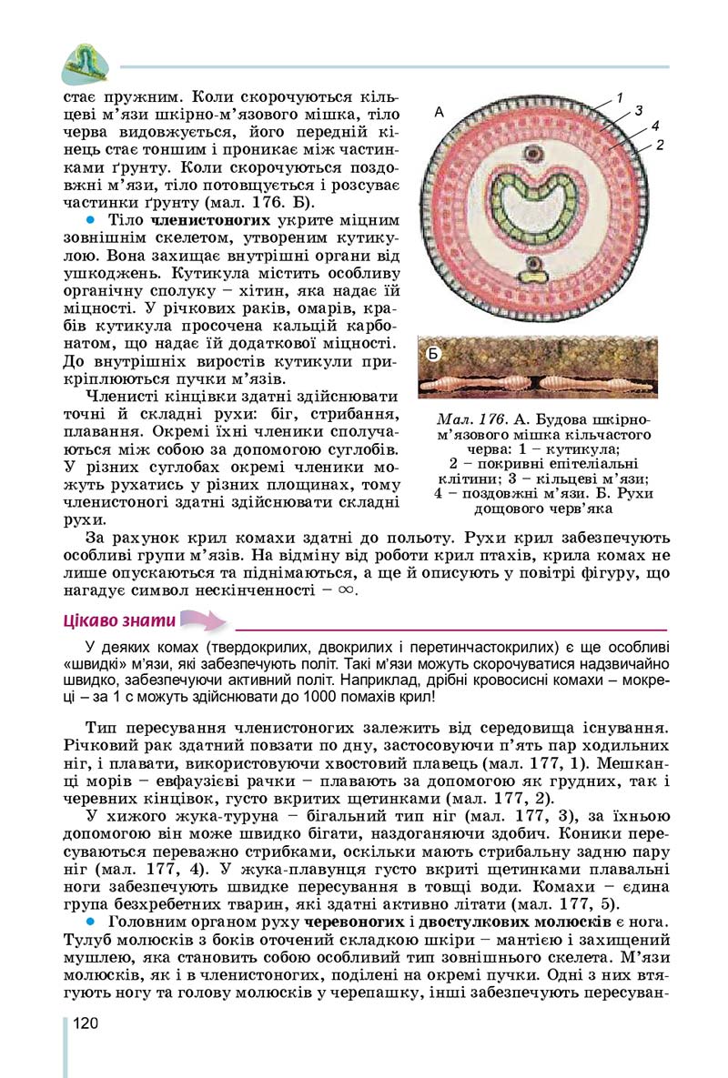 Сторінка 120 - Підручник Біологія 7 клас Остапченко 2020 - скачати