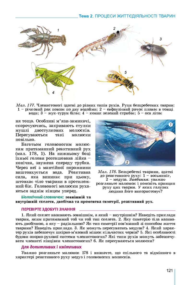 Сторінка 121 - Підручник Біологія 7 клас Остапченко 2020 - скачати
