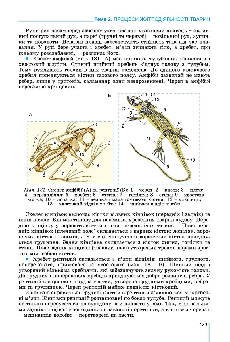 Сторінка 123 - Підручник Біологія 7 клас Остапченко 2020 - скачати