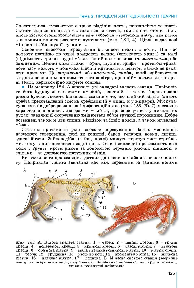 Сторінка 125 - Підручник Біологія 7 клас Остапченко 2020 - скачати