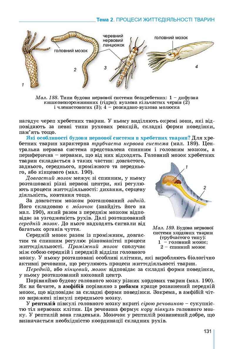 Сторінка 131 - Підручник Біологія 7 клас Остапченко 2020 - скачати
