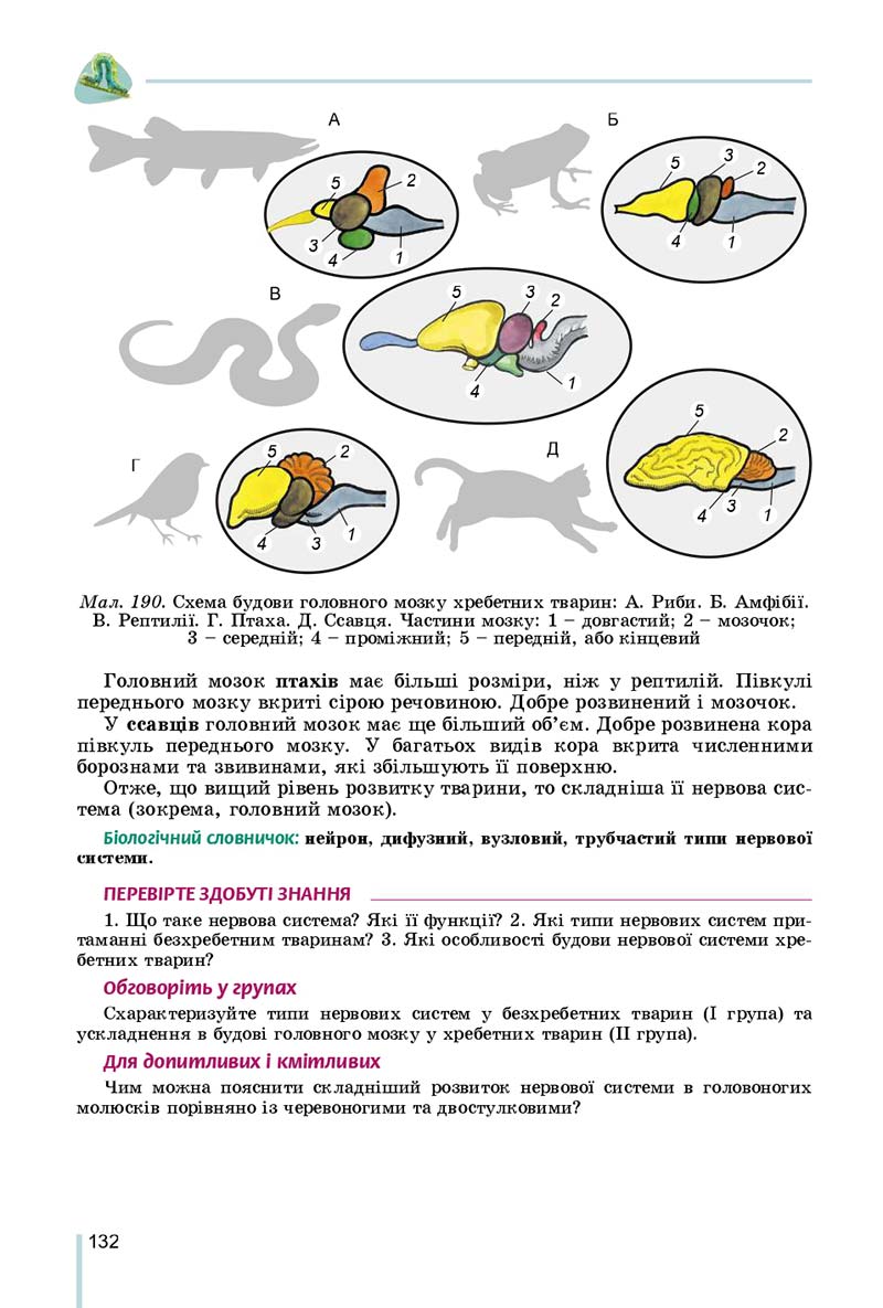 Сторінка 132 - Підручник Біологія 7 клас Остапченко 2020 - скачати