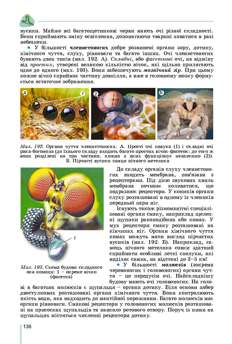 Сторінка 136 - Підручник Біологія 7 клас Остапченко 2020 - скачати