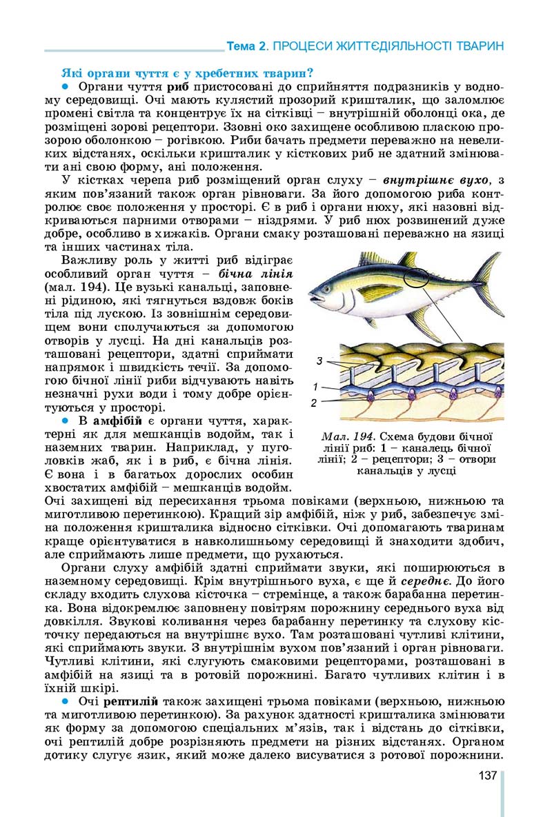 Сторінка 137 - Підручник Біологія 7 клас Остапченко 2020 - скачати