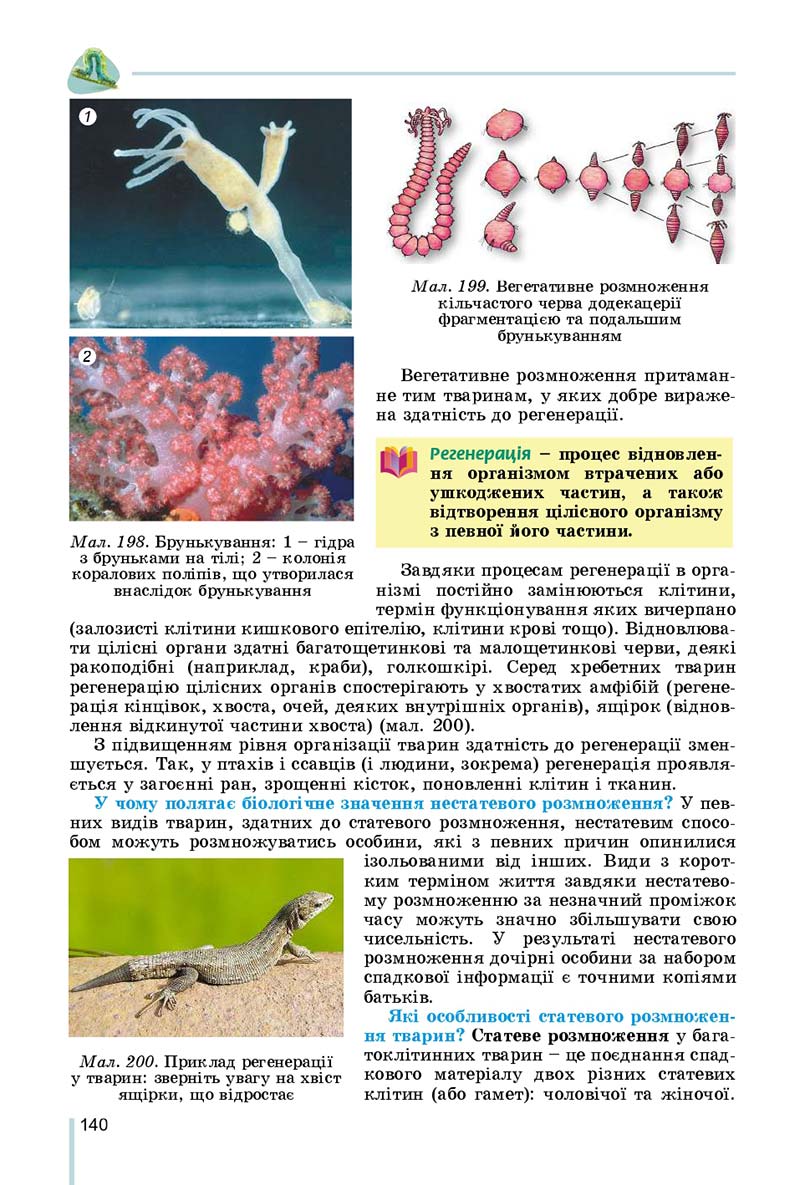Сторінка 140 - Підручник Біологія 7 клас Остапченко 2020 - скачати
