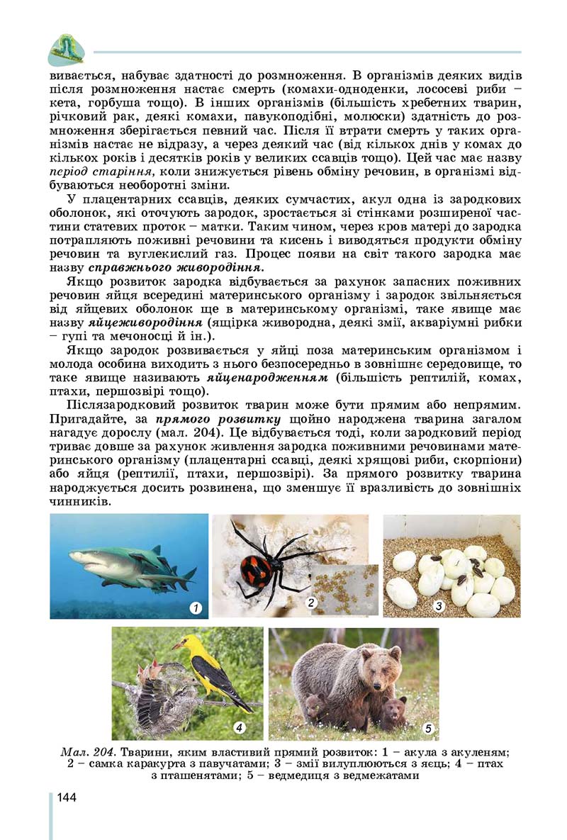 Сторінка 144 - Підручник Біологія 7 клас Остапченко 2020 - скачати