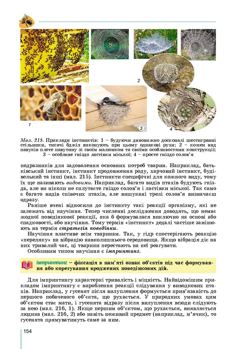 Сторінка 154 - Підручник Біологія 7 клас Остапченко 2020 - скачати