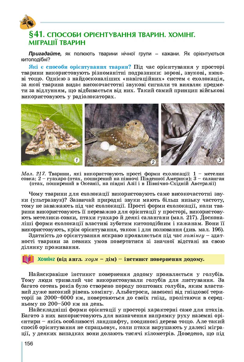 Сторінка 156 - Підручник Біологія 7 клас Остапченко 2020 - скачати