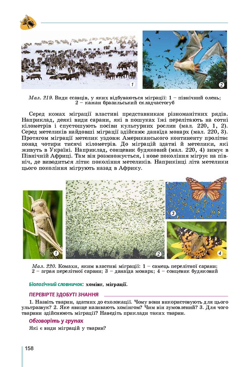 Сторінка 158 - Підручник Біологія 7 клас Остапченко 2020 - скачати