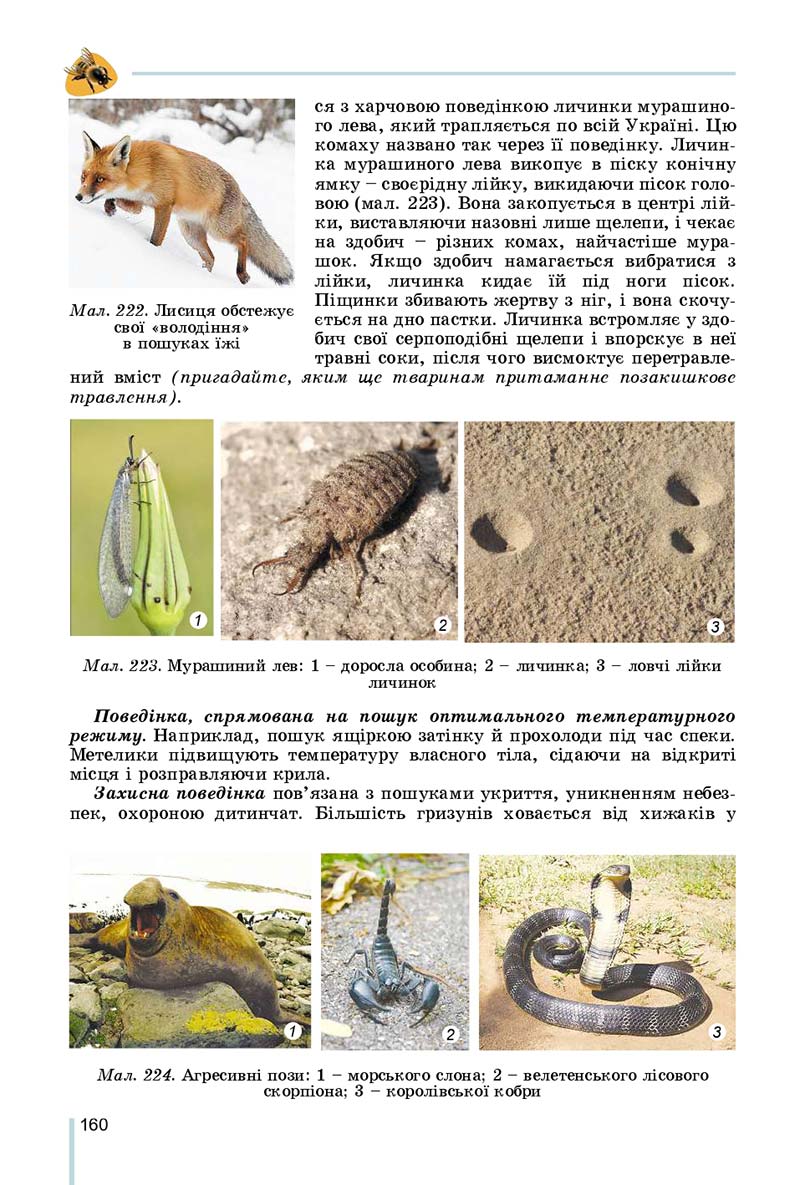 Сторінка 160 - Підручник Біологія 7 клас Остапченко 2020 - скачати