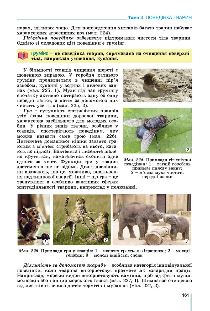 Сторінка 161 - Підручник Біологія 7 клас Остапченко 2020 - скачати
