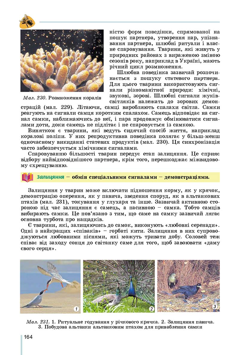 Сторінка 164 - Підручник Біологія 7 клас Остапченко 2020 - скачати